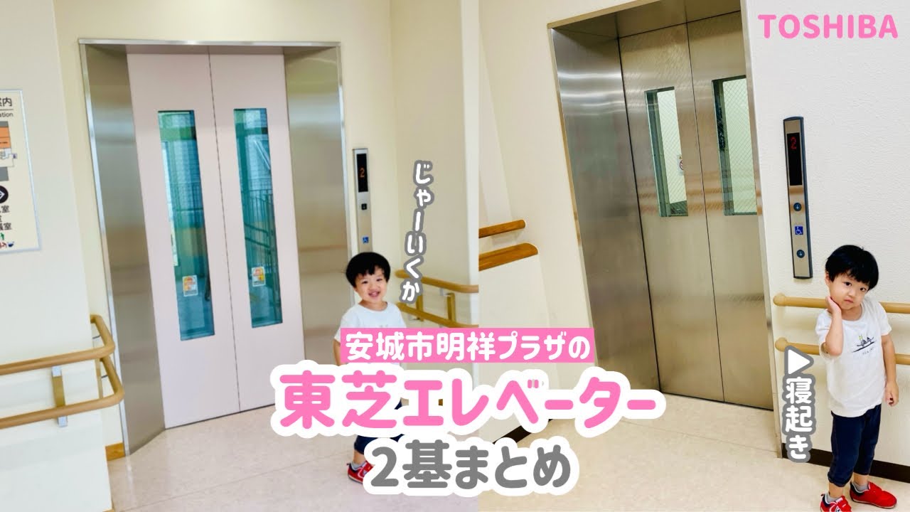 【298日目】安城市明祥プラザのエレベーター（2基まとめ）（東芝製）