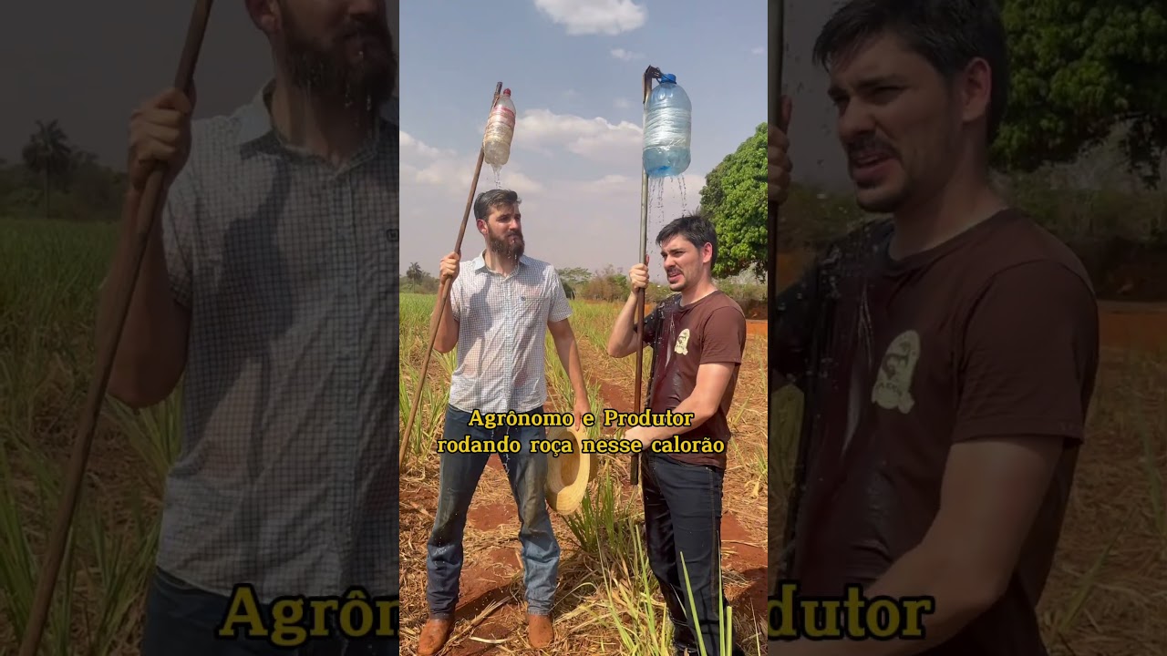 80 graus na sombra 🤣🤣🤣#primosagro #agronomia #viral #produtorrural #agro #seuduardo #agronomo
