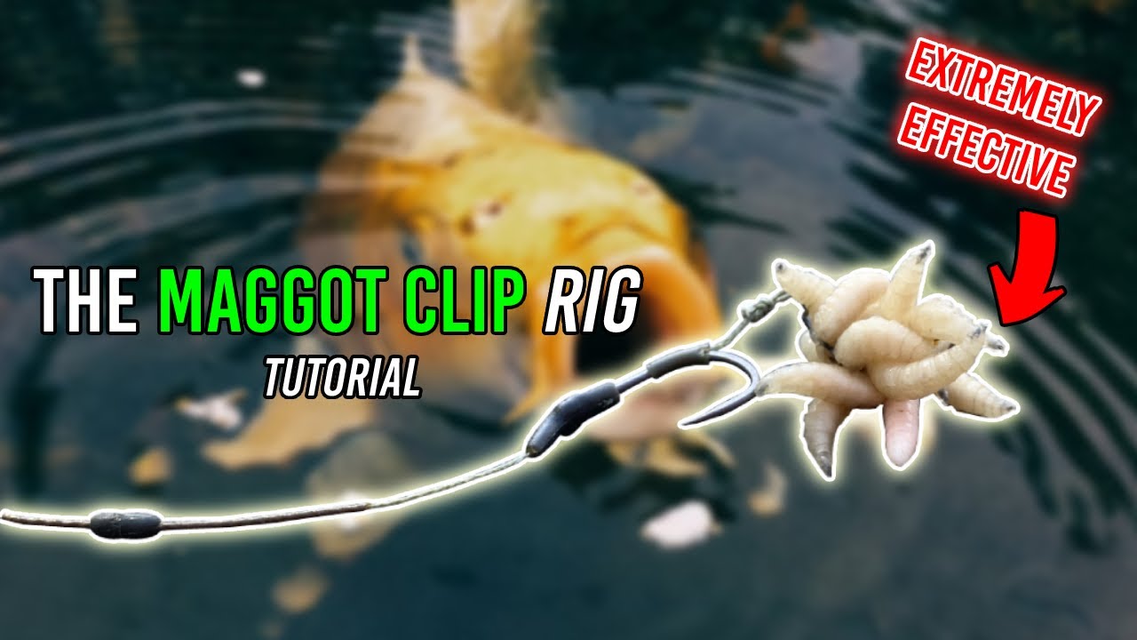 Boost Je Vangsten: Zo Maak Je De Maggot Clip Rig!