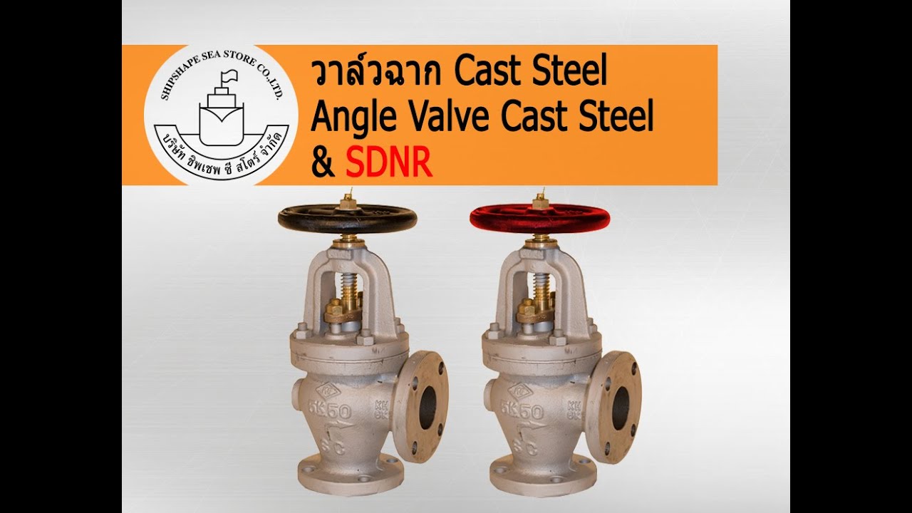 Angle Valve Cast Steel & Screw down check non return