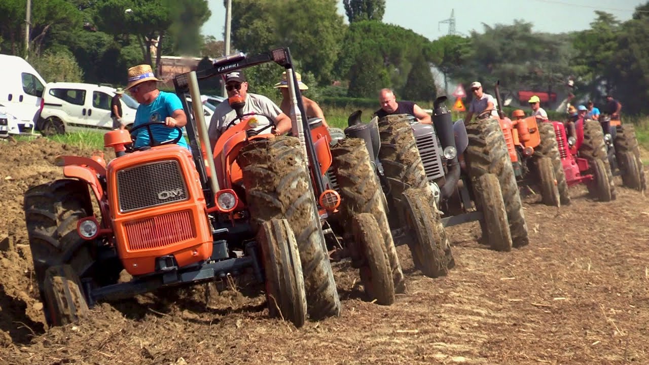 Baura 2024 (domenica AM) - Aratura d'epoca e Landini testacalda | Vintage hot bulb tractors plowing