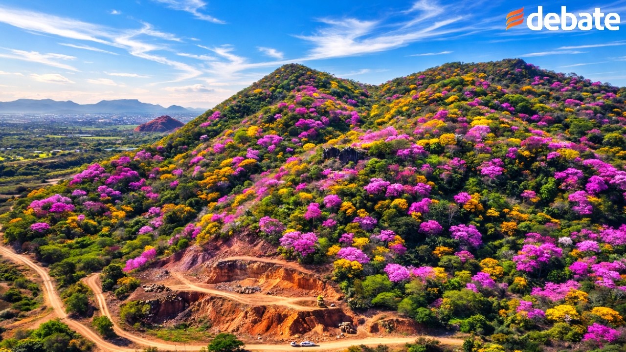 El espectáculo natural que está conquistando los cerros en 2026 en Sinaloa