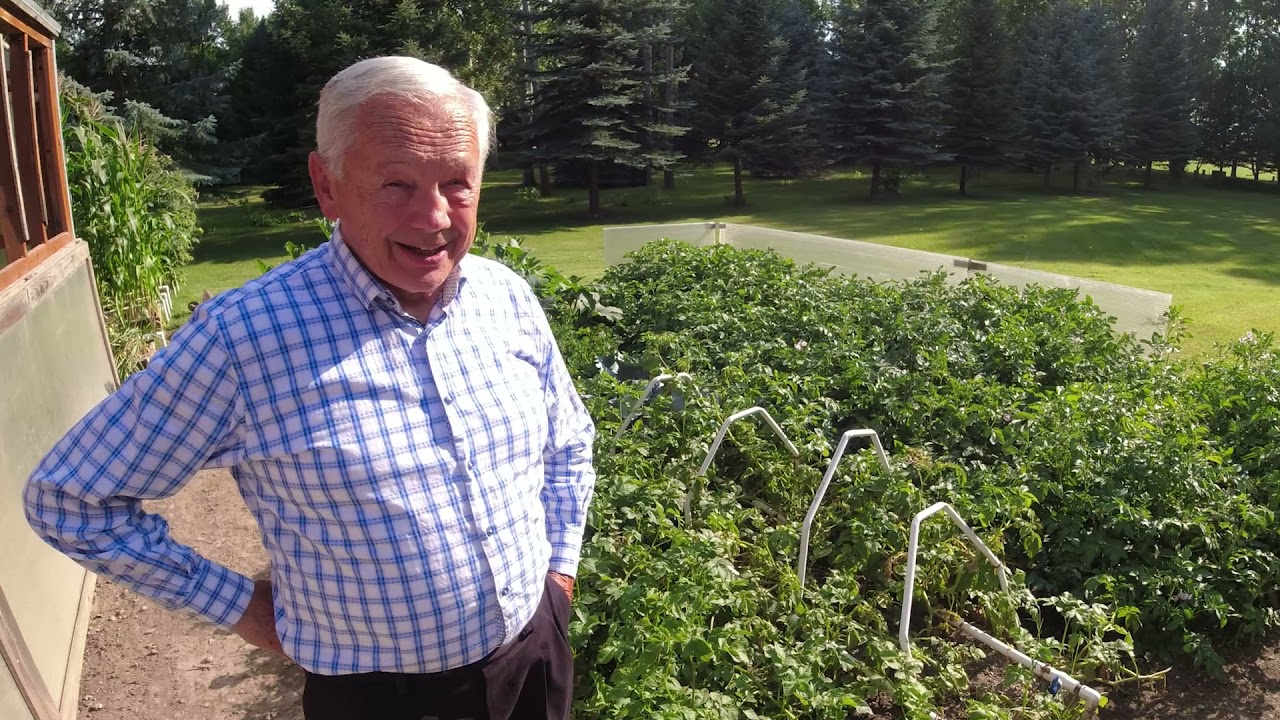 Jim Kennard -  Mittleider Garden, Mid July 2021