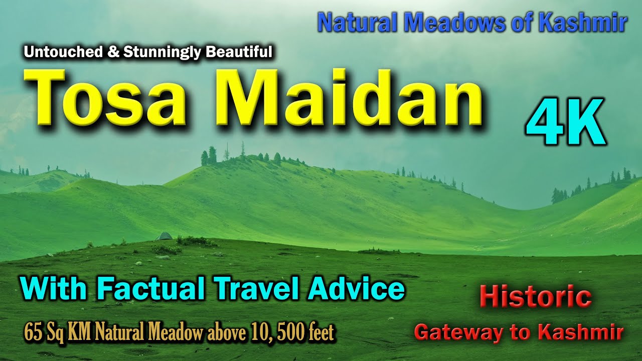 Stunning Tosa Maidan| The King of Meadows | Complete tour tips | Gateway to Kashmir Valley