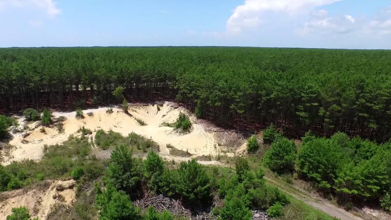 Bluffs of St. Teresa - 17,080 +/- Rare, Scenic Acres in Florida SOLD