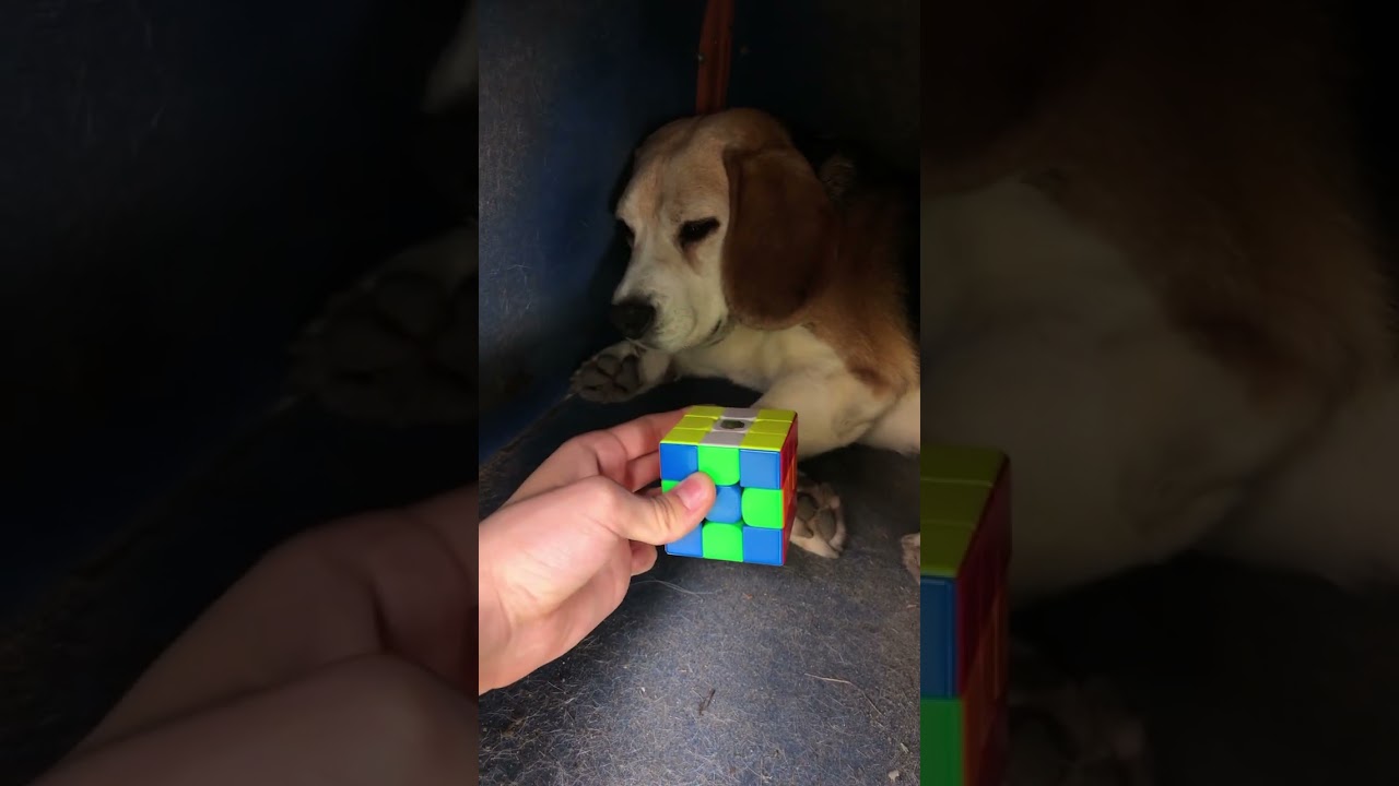 Rubik Kocka Minta #shorts #speedcubing