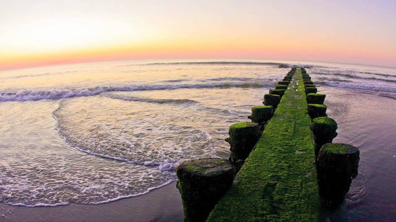 Sea Isle City song (presented by Sea Isle Brew Co.)