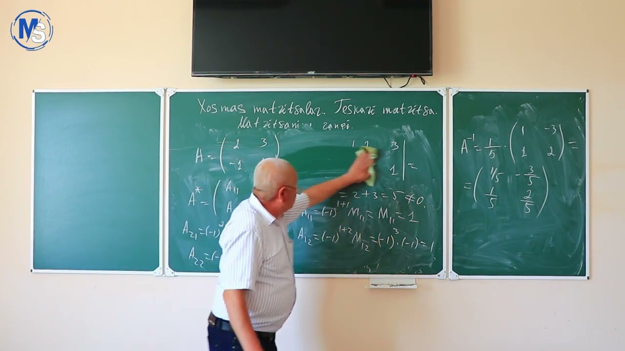 Xosmas matritsalar. Teskari matritsa. Matritsaning rangi