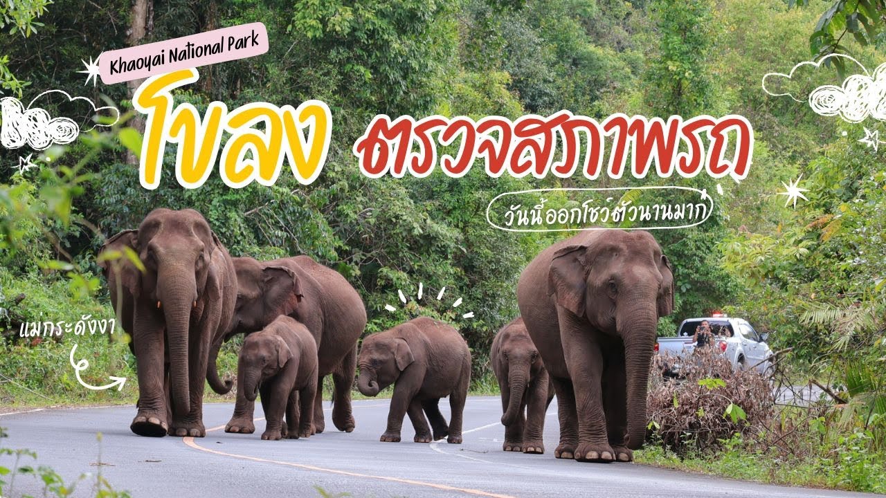 โขลงโอริโอ้+โอมากาเสะ+โอเค ออกเดินกินตามถนนนานกว่าทุกครั้งเลย!