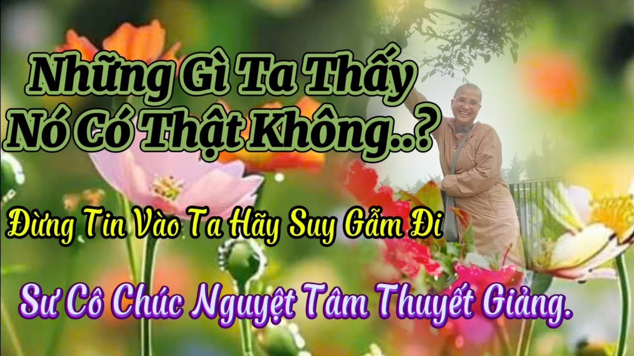 tại sao phật nói ta dạy như lá trong bàn tay