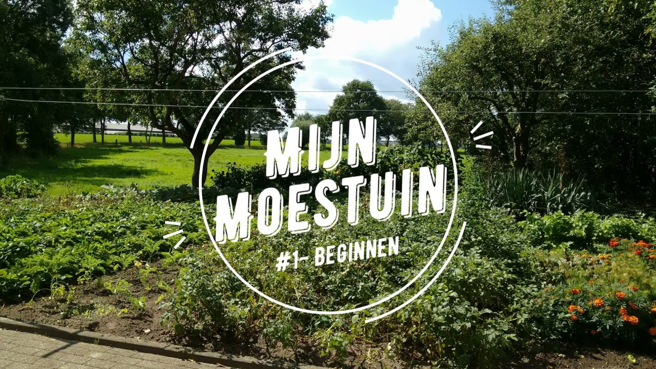 #1 Mijn moestuin- beginnen