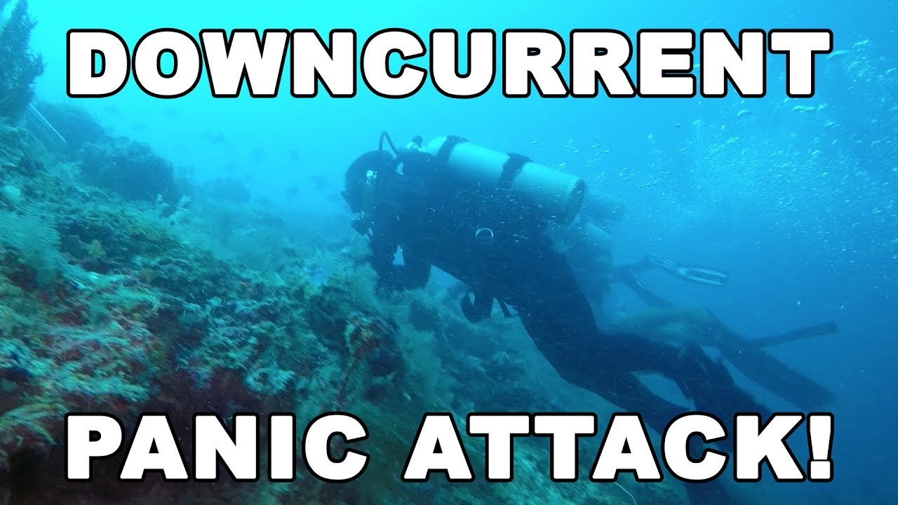 We Got Caught in a Downcurrent - PANIC (Sipadan, Island) | Diving Malaysia | MayenTV