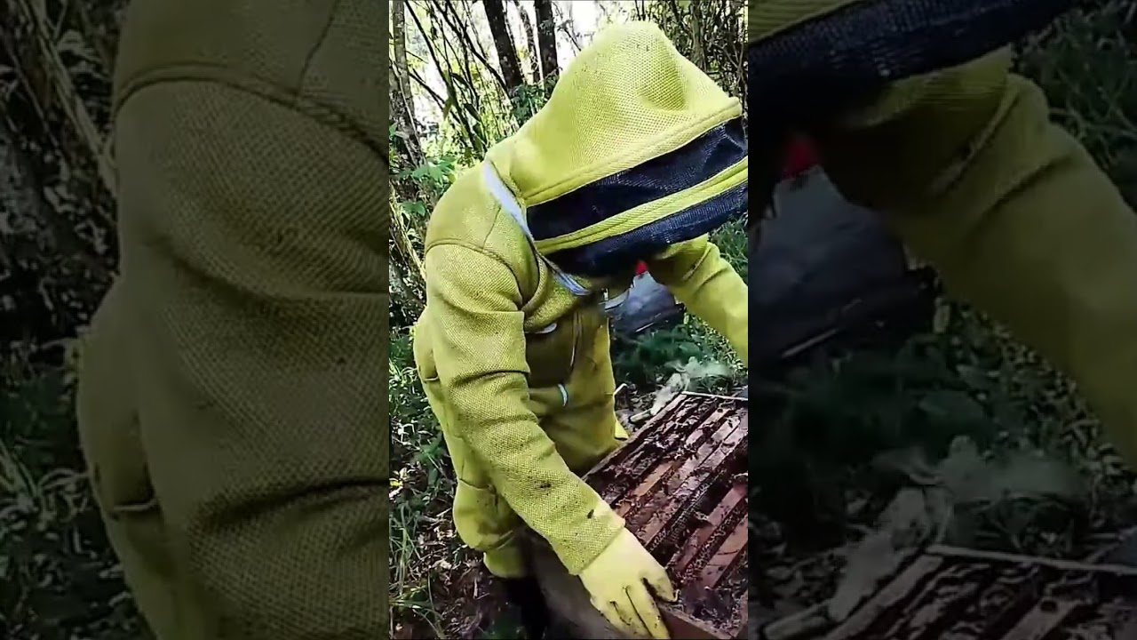 Oiba Pueblito Pesebre - Paraíso de la Miel