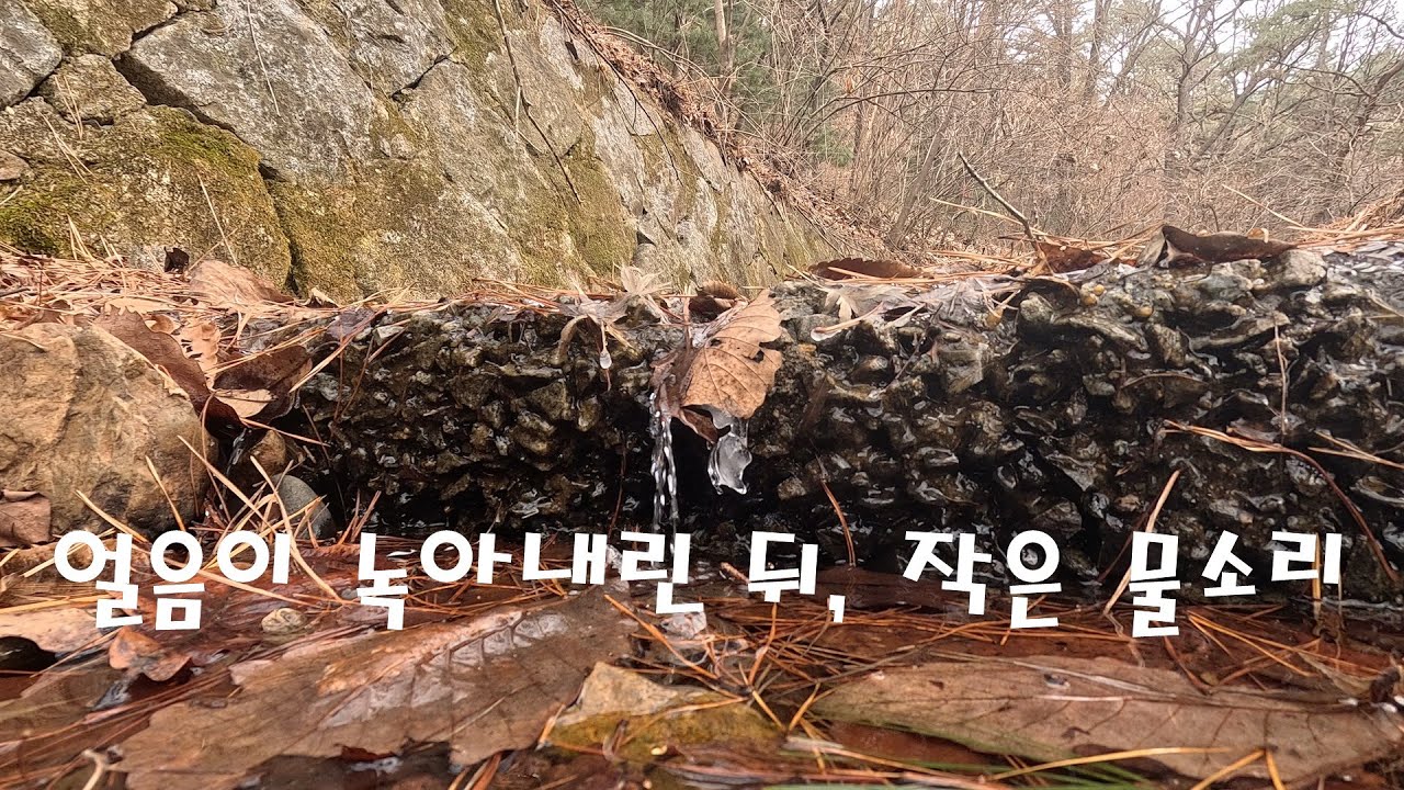 🌊얼음이 녹고 난 뒤, 남은 작은 물의 소리 | Ice Melting into Gentle Water Sounds (10min)