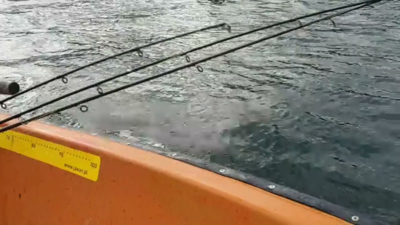 Kajak Wędkarski Feel Free Lure 11.5