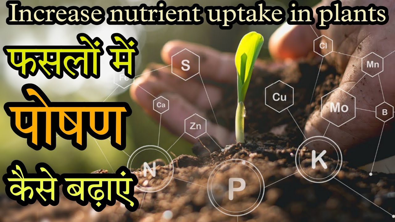 how to increase nutrient uptake in plants | मिट्टी का पीएच कंट्रोल करने का सबसे सस्ता और आसान तरीका