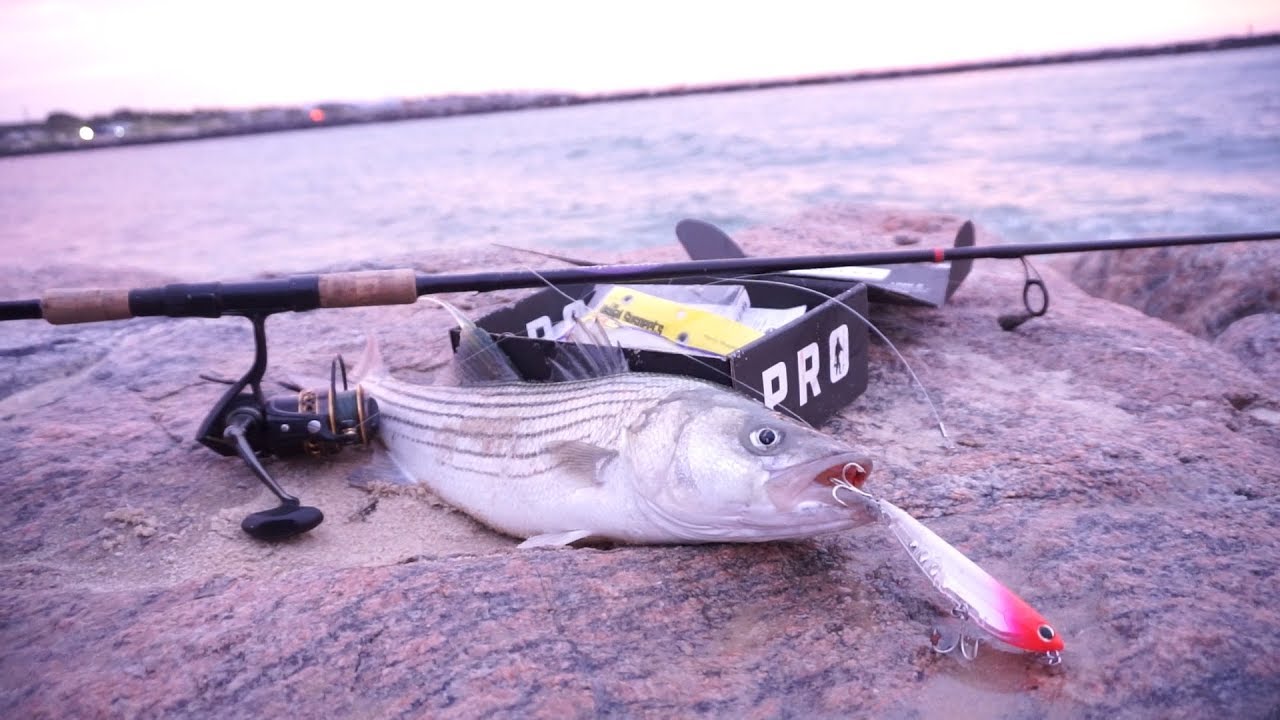 Inlet Striper Fishing -- September Saltwater Montauk MTB Slam