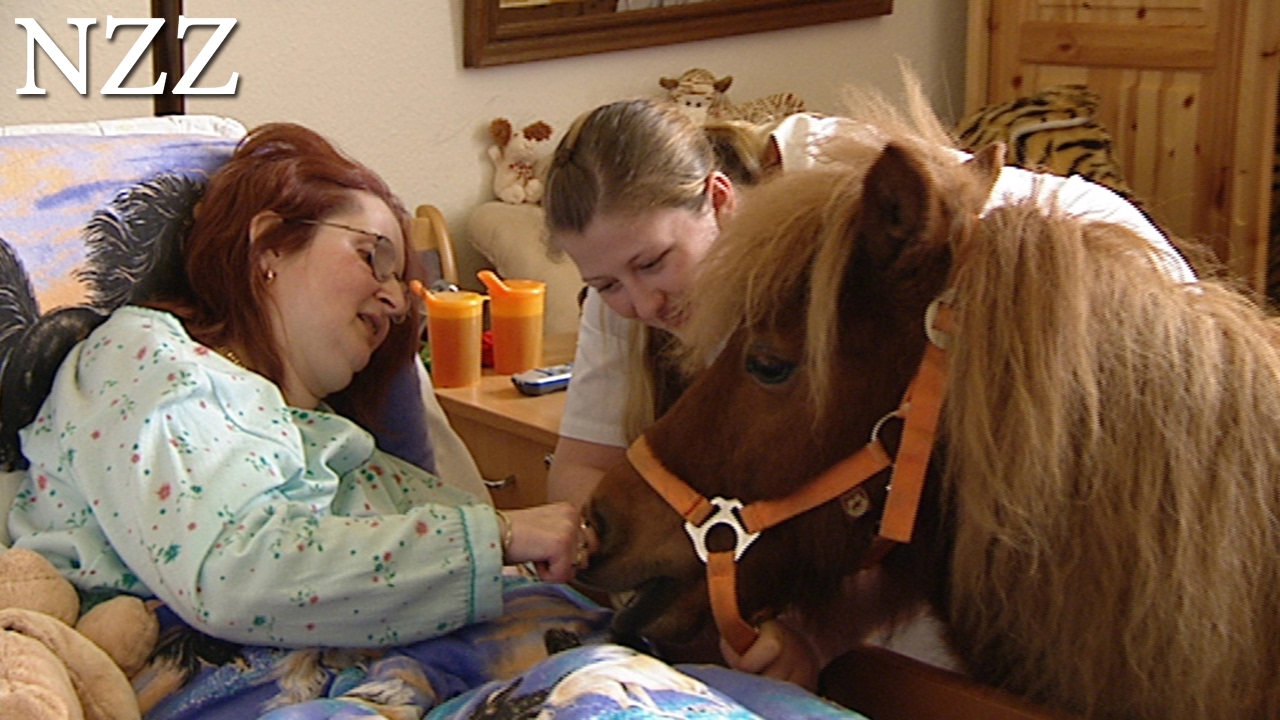Tiere helfen heilen - Dokumentation von NZZ Format (2007)