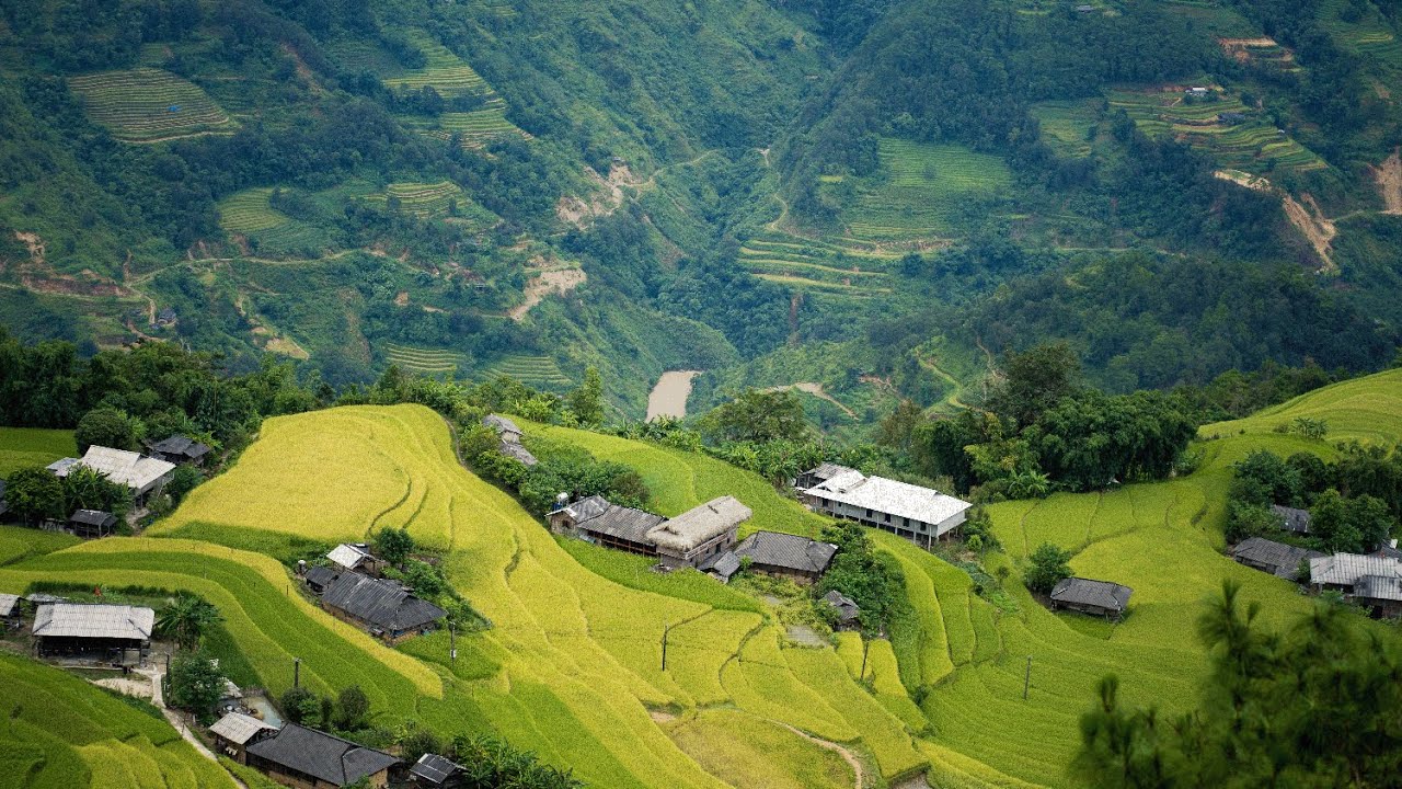 Exploring Hoang Su Phi: A Journey Through Phung Village, Ta Su Choong, and Thong Nguyen