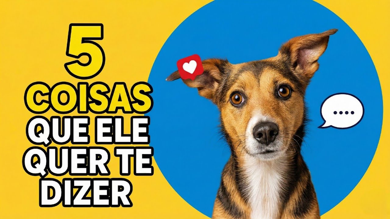 Entenda Seu Cão: 5 Mensagens Que Ele Te Envia Todos os Dias
