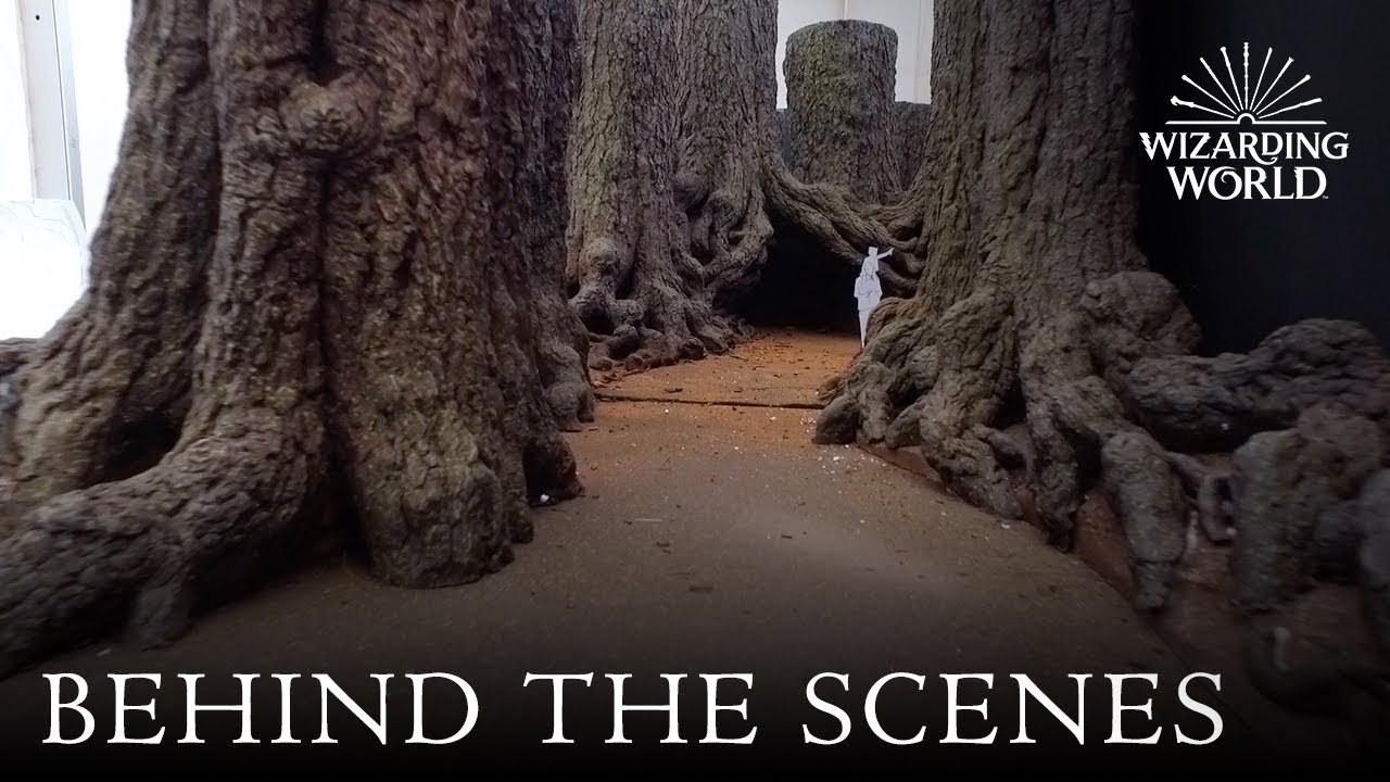 Behind the scenes of the Forbidden Forest at Warner Bros. Studio Tour London