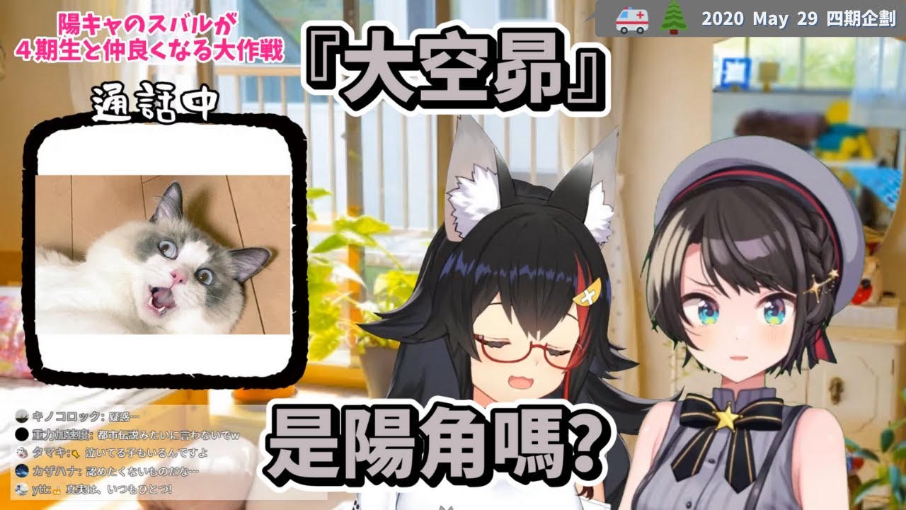 【大神澪｜大空昴】與4期生打好關係大作戰!!!! - 前傳01，濃度高達98%!!名言不斷的超正向鴨鴨!!.ft 一般通過tiger【Hololive中文字幕】