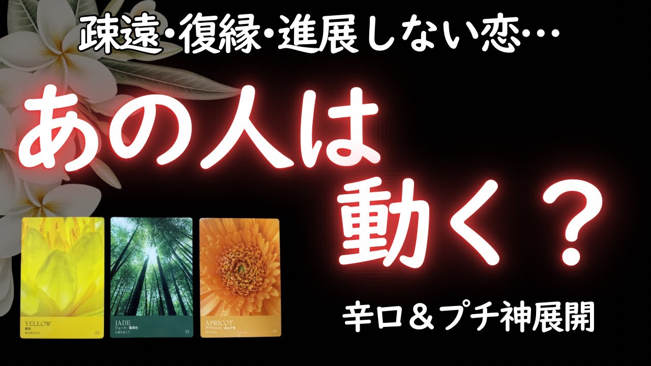 【辛口⚠️＆今にも動き出したいあの人が…💓】疎遠･復縁･進展しない恋…あの人は動くのか？【タロット3択】