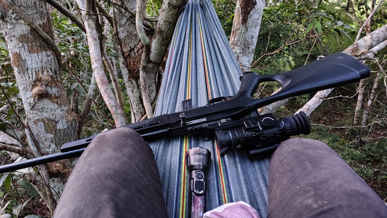 + uma espera de paca no p&eacute; de manga resultado ainda deu bom