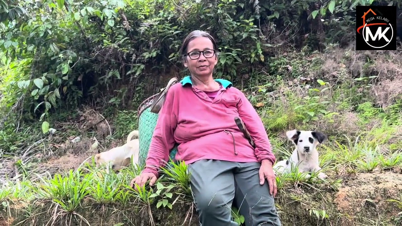 JADI PEKERJA KELAPA SAWIT. PENAT YANG MENYERONOKKAN 💰💰