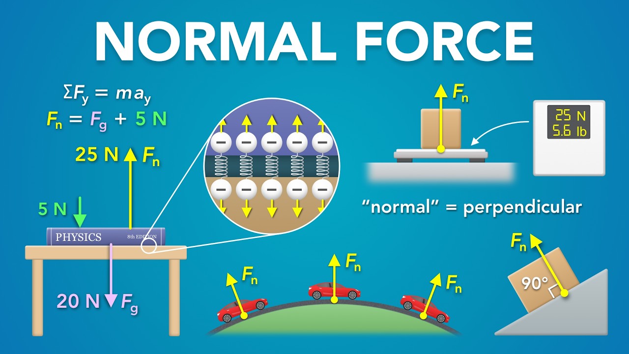 What Is a Normal Force? | Physics - Forces & Newton's Laws