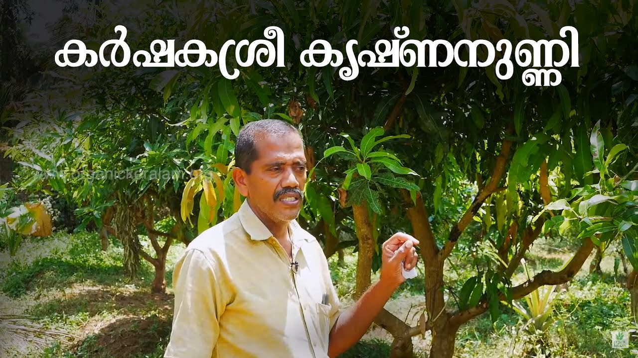 അവാര്‍ഡുകള്‍ പുത്തരിയല്ലാത്ത ജൈവകര്‍ഷകന്‍ | Mixed Farming | Successful Farmer