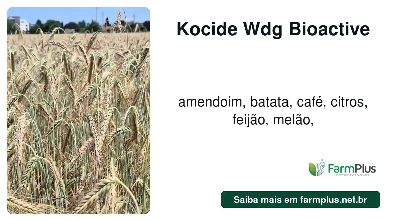 Kocide® WDG Bioactive: Um Aliado no Controle de Doenças Agrícolas