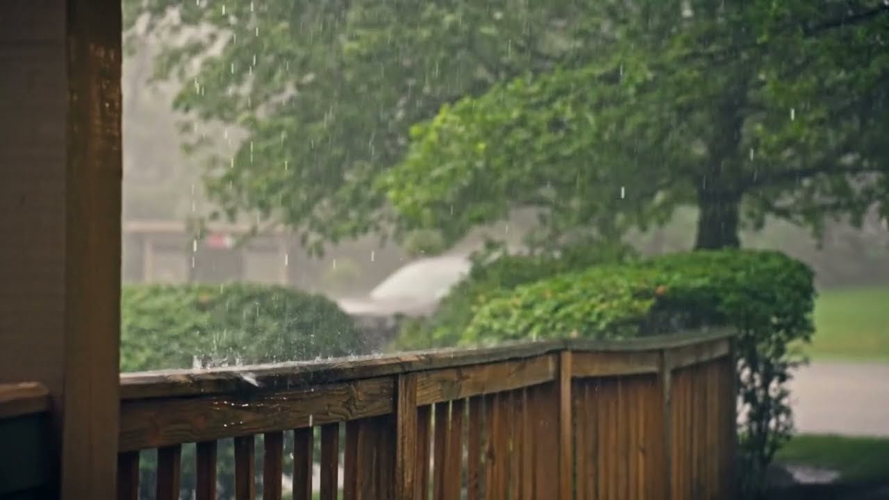 Rain Sound in Forest ⛈️ Heavy Rain storm : Natural White Noise for Rest - 1 hour rain sound