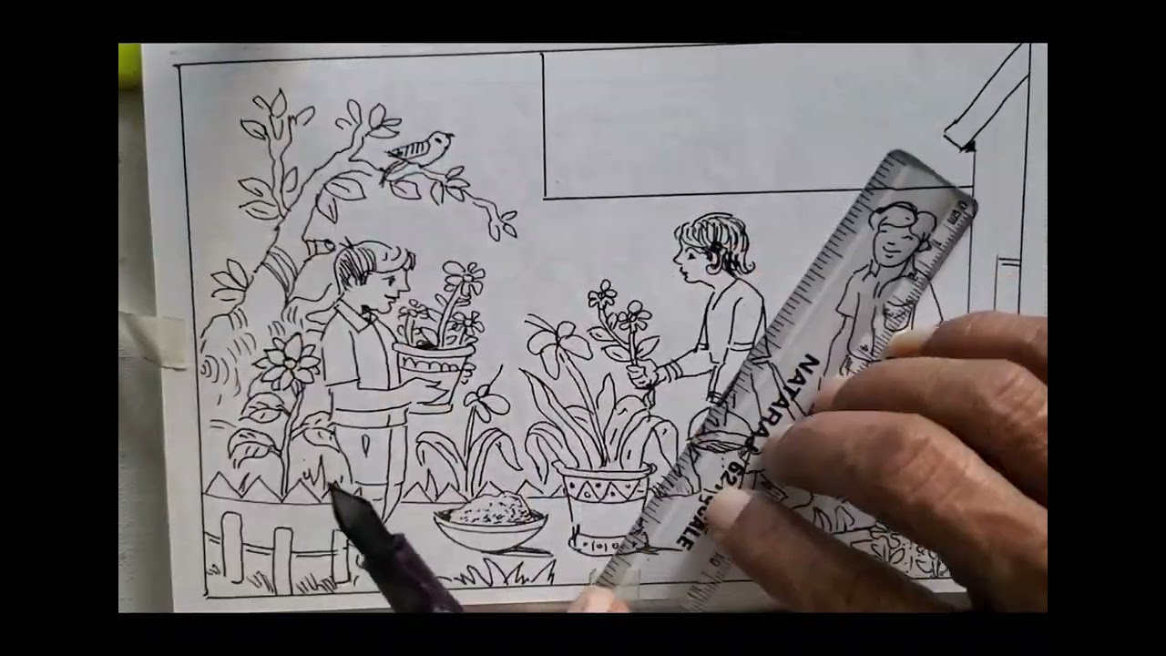 Sketch  school  garden