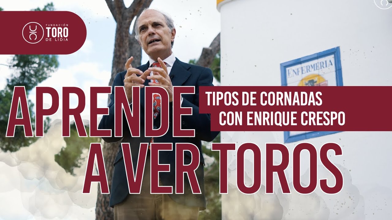 Tipos de cornadas, con Enrique Crespo | APRENDE A VER TOROS