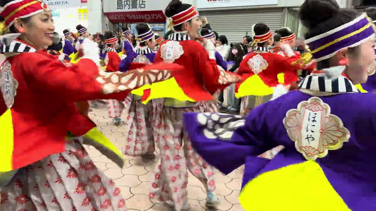 土佐のおきゃく２０２６・よさこい春の舞