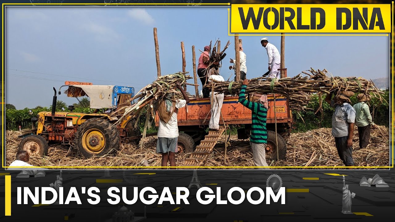 India: Ban on sugar exports causes worries about the global price | Latest News | World DNA | WION