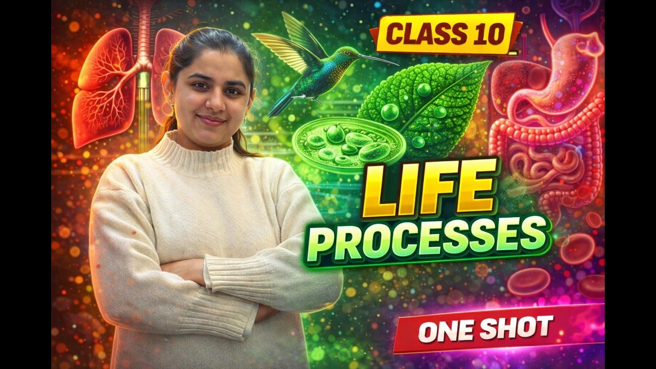 One shot, NCERT Sumup,10th Science Chapter 