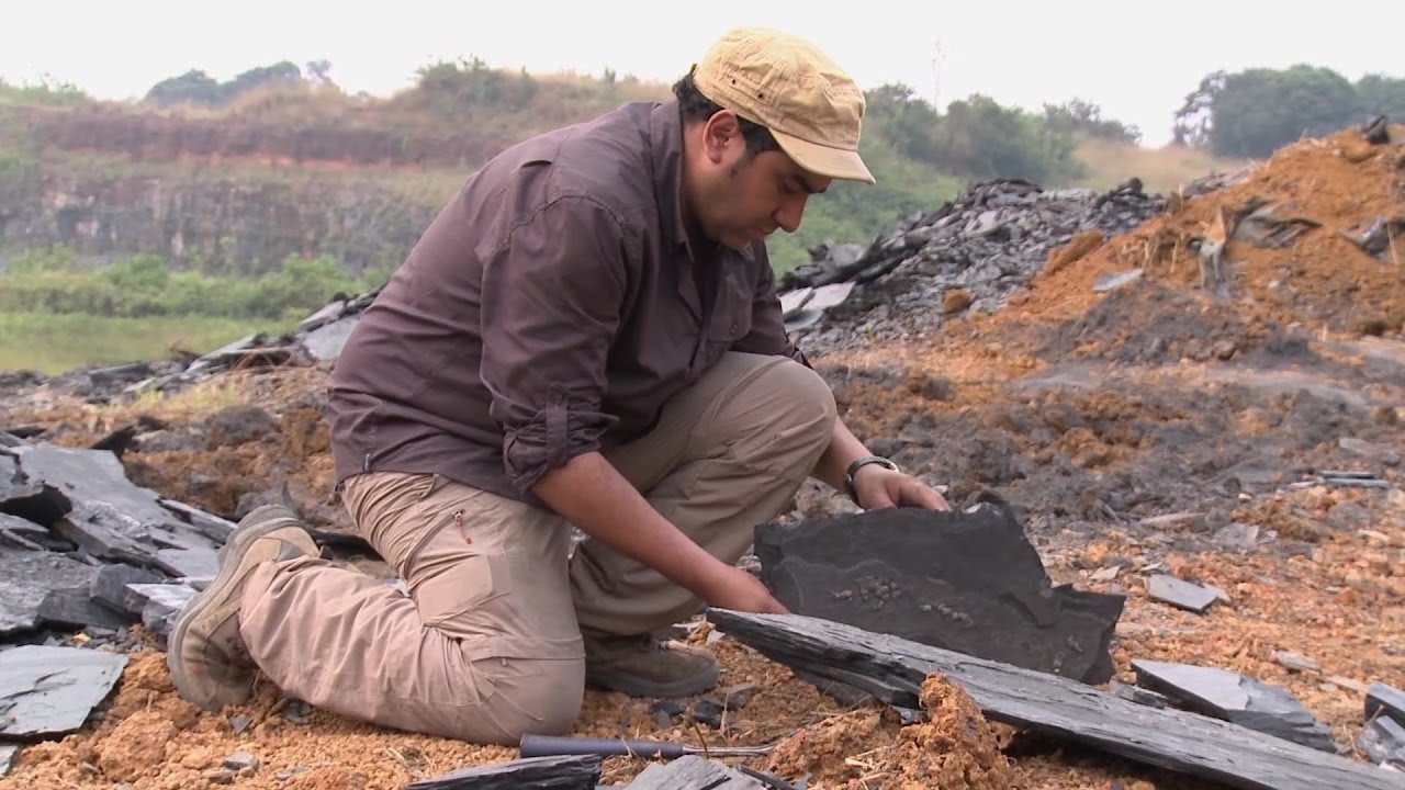 A la recherche des origines... Deux milliards d'années au Gabon