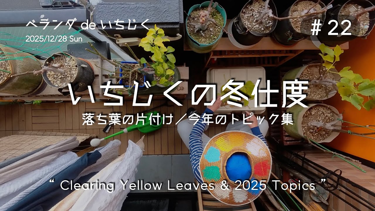 #22 いちじくの冬仕度｜落ち葉掃除と2025年トピック集