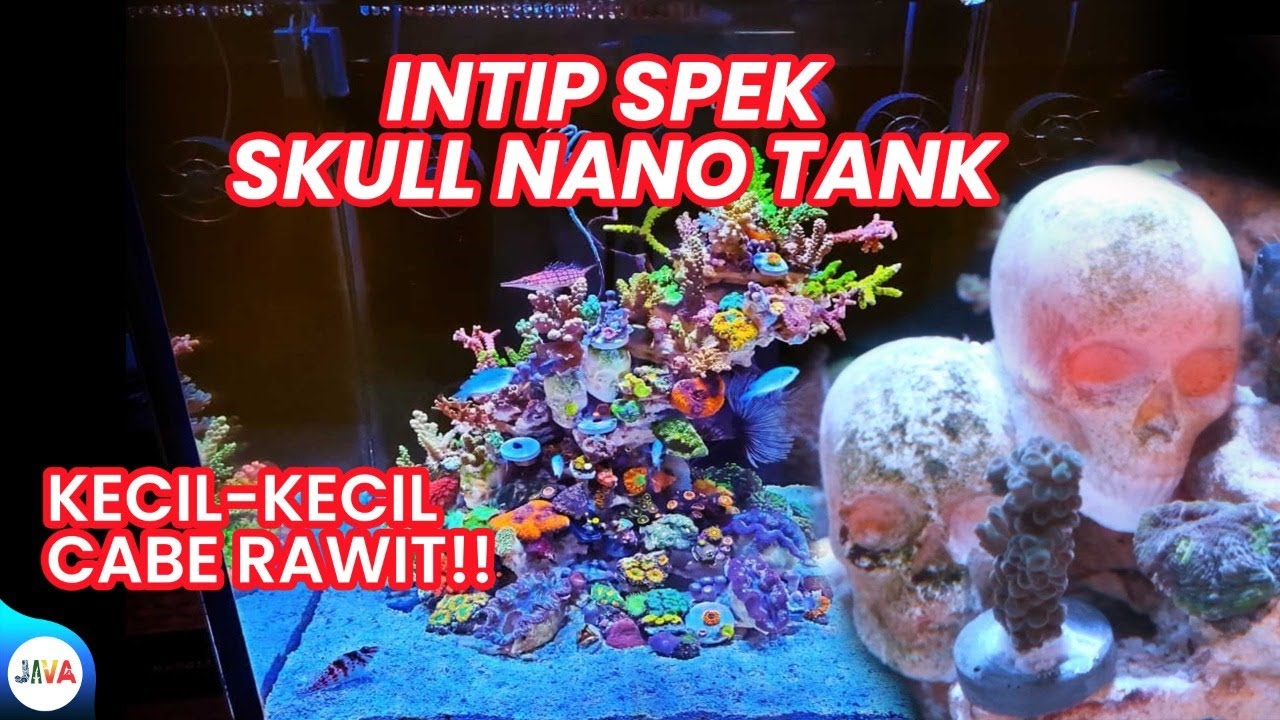 INTIP SPESIFIKASI TANK! - GREBEK JUARA 2 RED SEA PHOTO CONTEST DI JOGJA PART 2