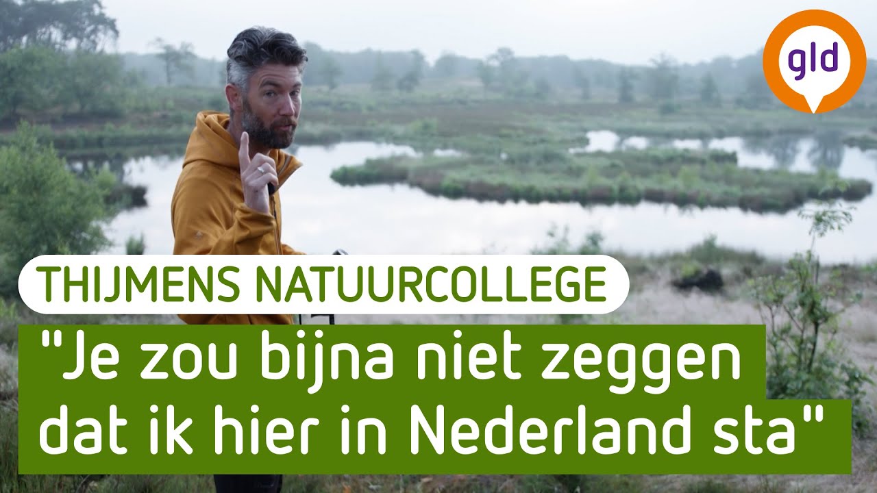 Waarom blijkt de bomenkap in de Hatertse Vennen zo'n succes? | Thijmens Natuurcollege | BuitenGewoon