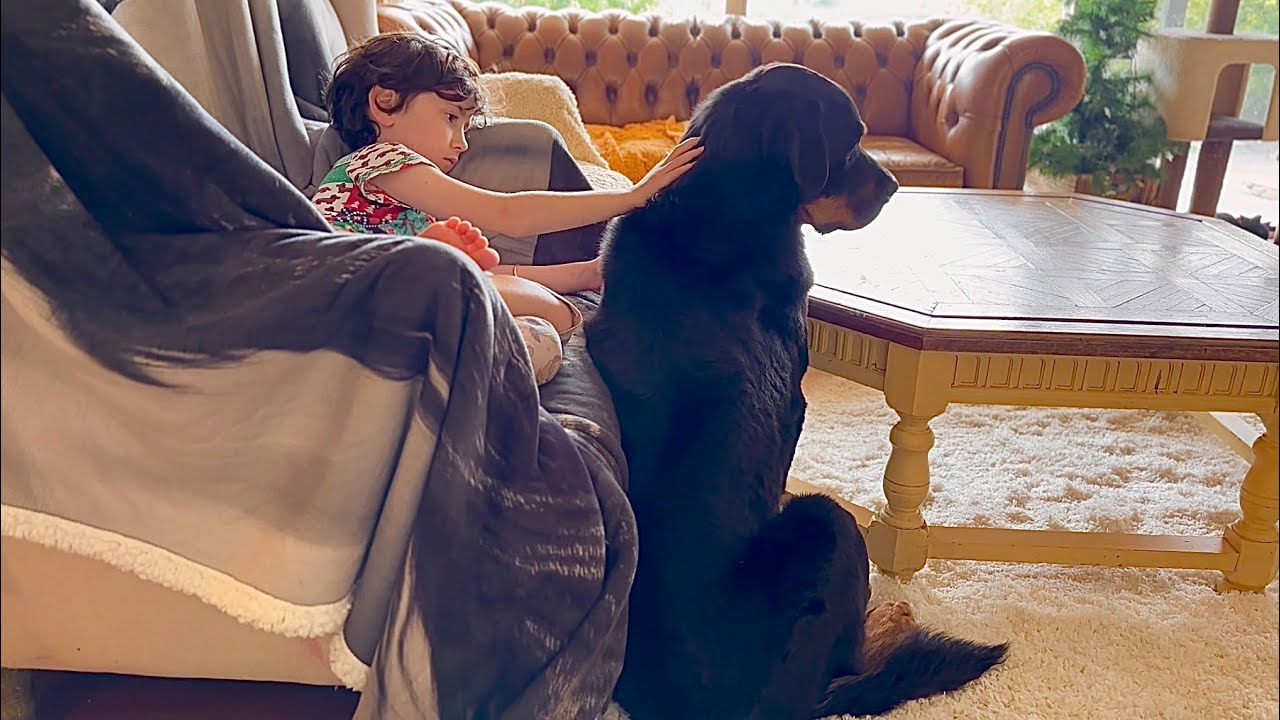 From Living his Life in the Shelter to Soaking up the Love 
