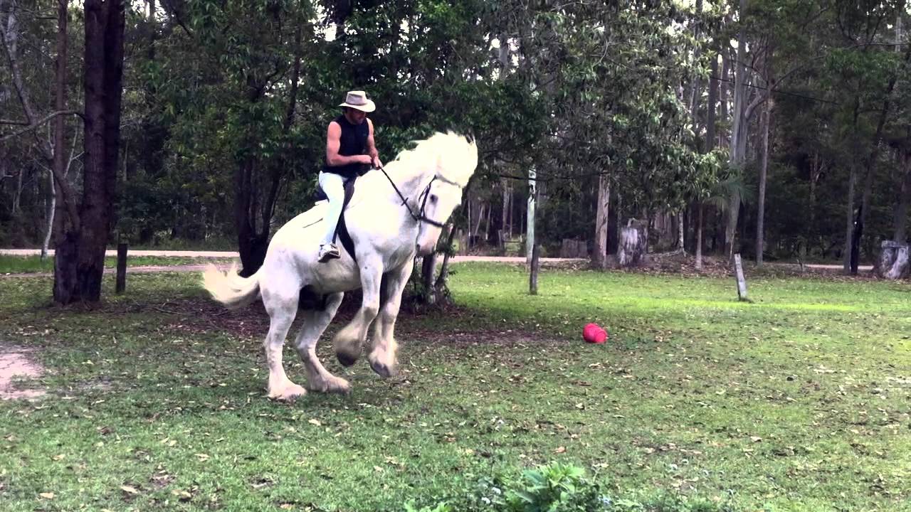 Bucked Off - Man thrown from saddle