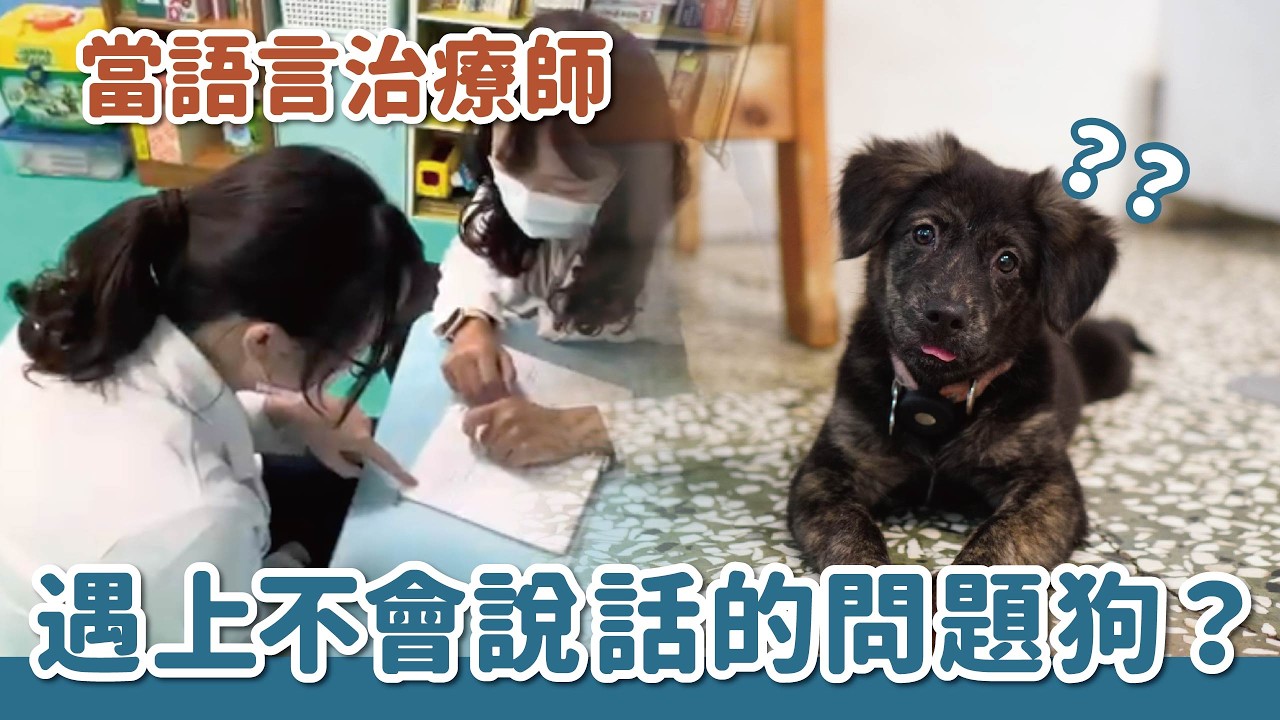 當語言治療師遇上不會說話的問題狗？｜有毛孩的下班時光