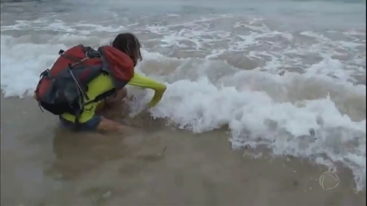 Turista pega filhote de tubarão para tirar selfie em Fernando de Noronha (PE)
