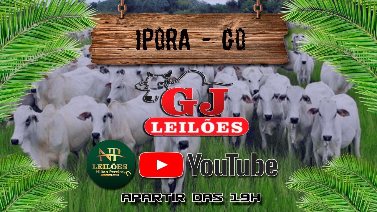GJ LEILÕES - IPORÁ GOIAS 29/01/2026