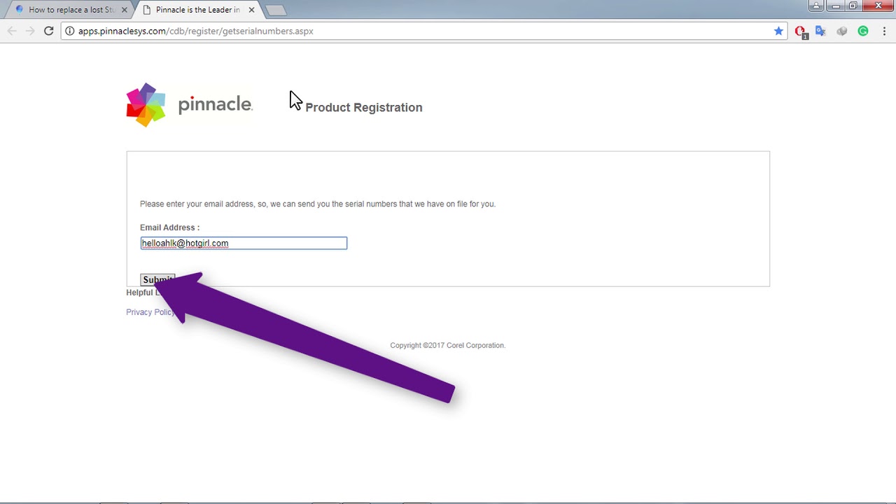 Pinnacle How To Replace A Lost Serial Number