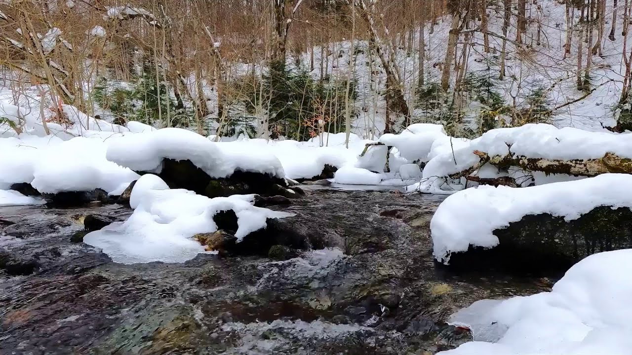Black River in Winter Forest White Noise | Nature Sounds