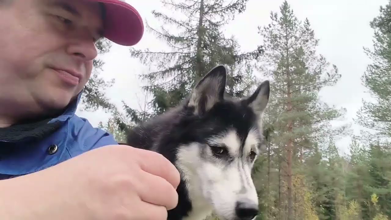 Serenan seikkailu